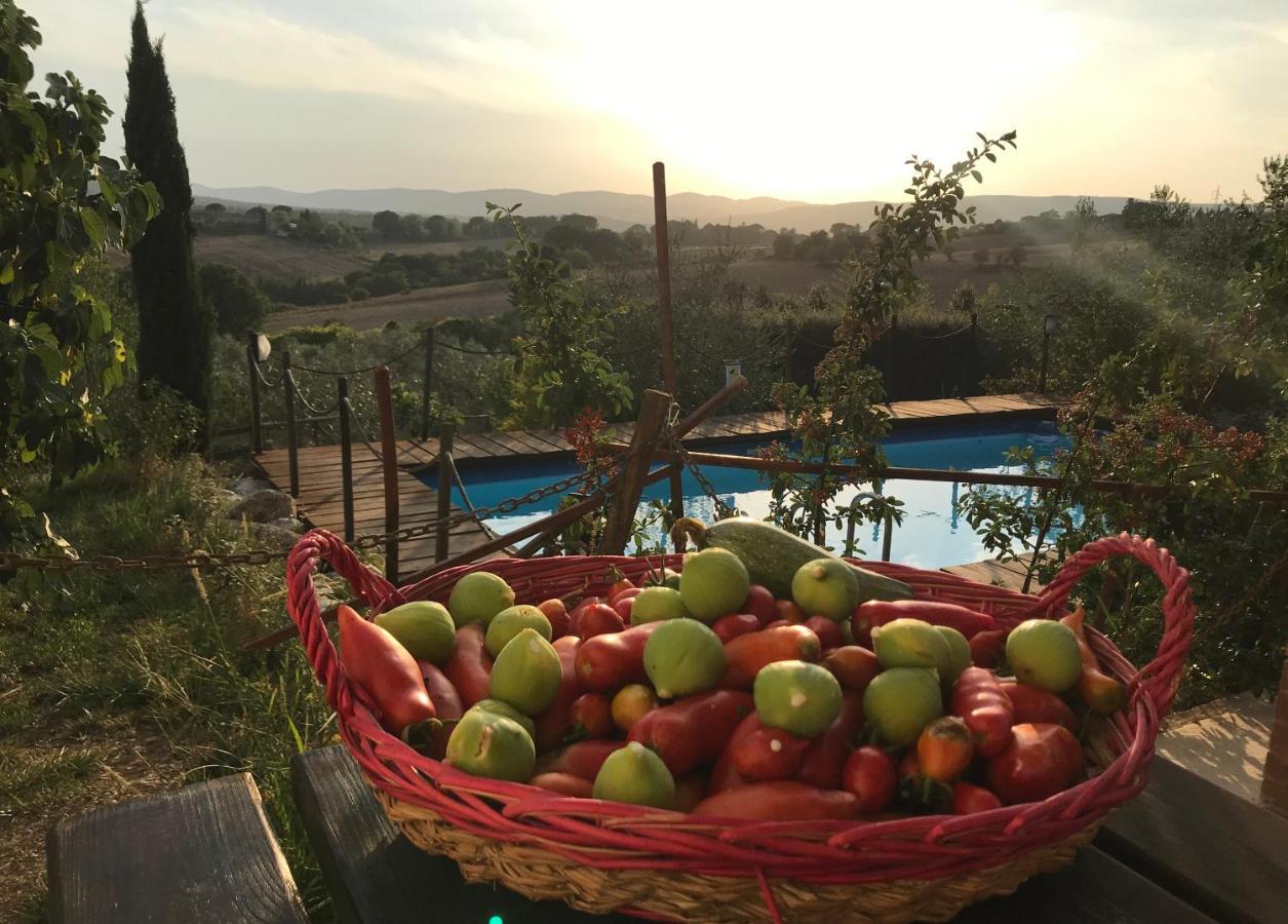 Il Pettirosso Di Casa rural *