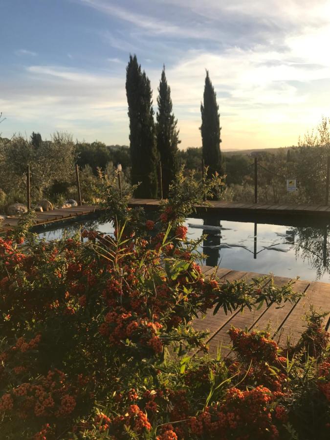 Il Pettirosso Di Casa rural Siena