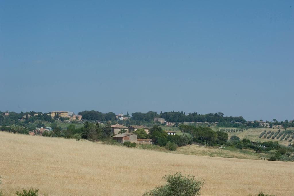 Il Pettirosso Di * Siena