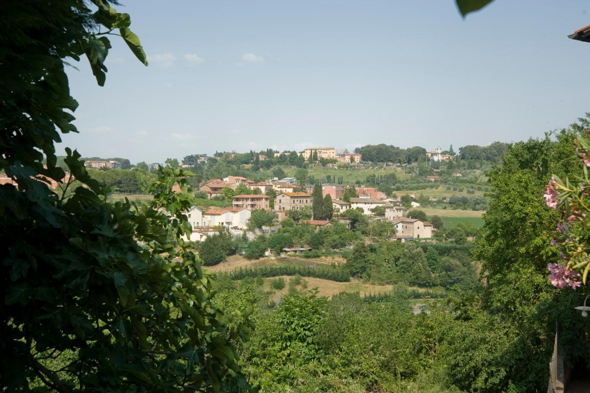 Il Pettirosso Di