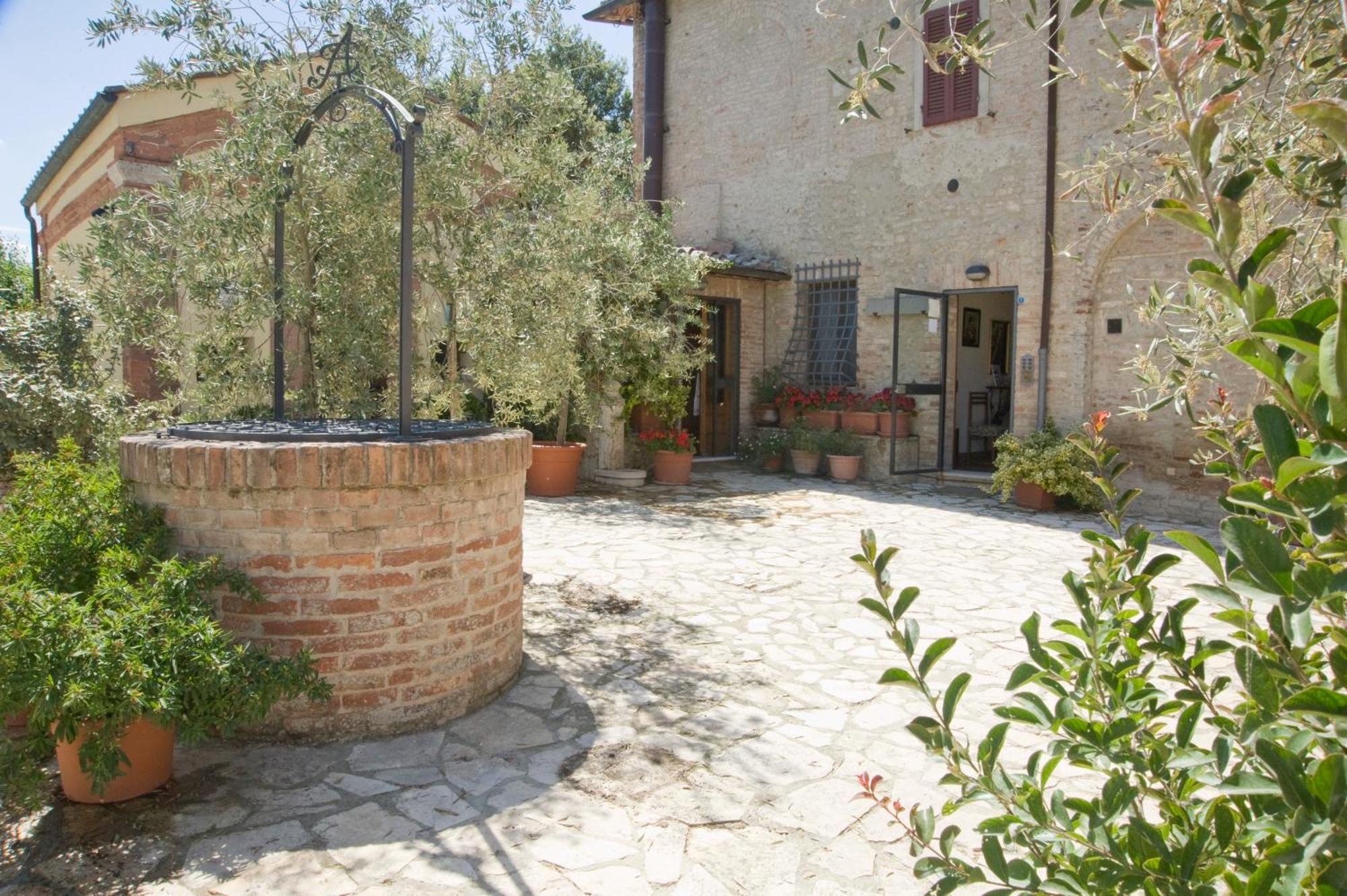 Il Pettirosso Di