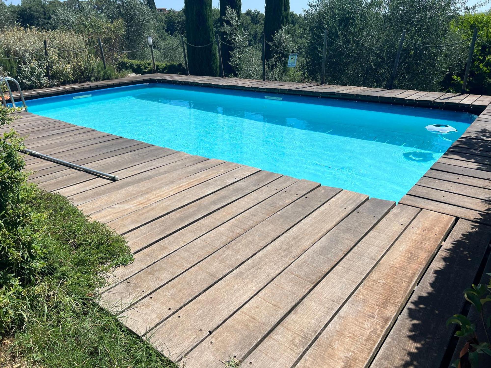 Il Pettirosso Di *